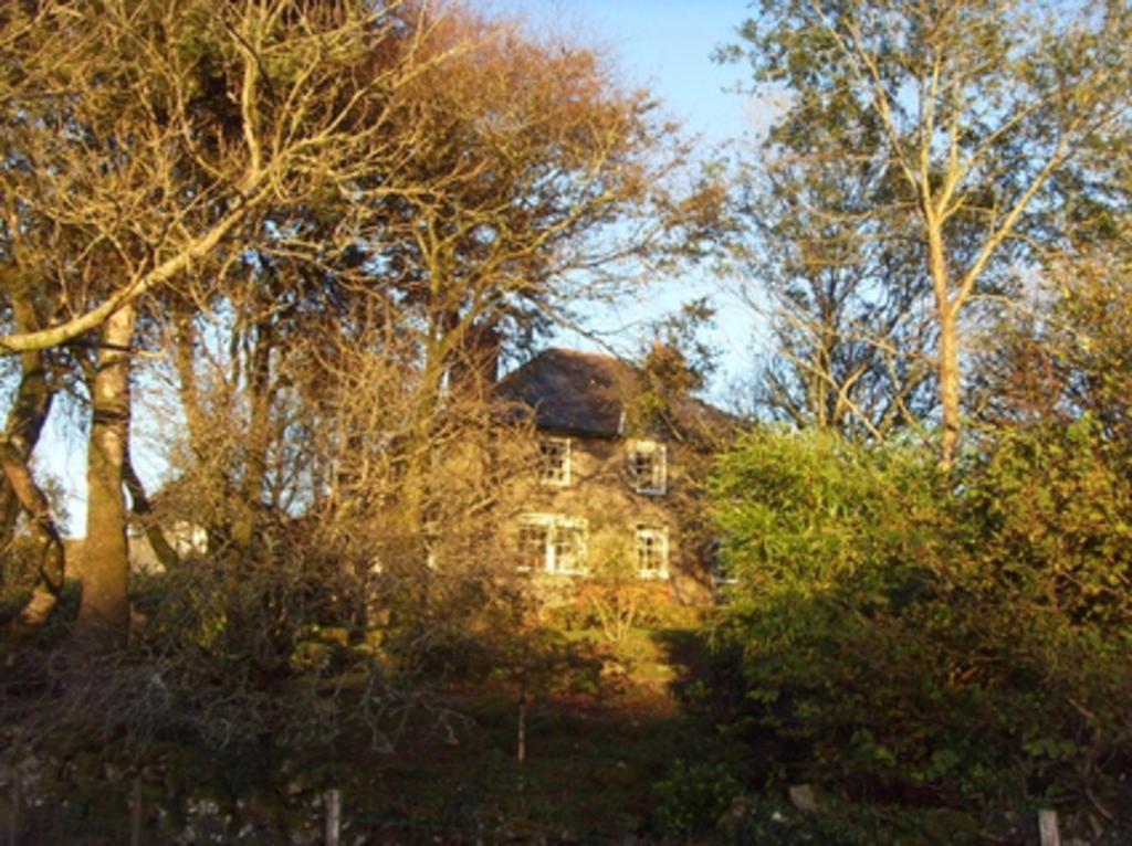 Bed and Breakfast Wydemeet Yelverton Exteriér fotografie